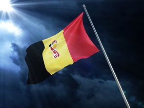 排球赛场焦点！比利时队对阵克罗地亚队，超级对决，球迷热情点燃赛场